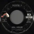 7inch Vinyl Single - Aerial Landscape - Proposition 13