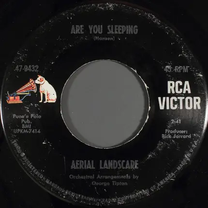 Aerial Landscape - Proposition 13