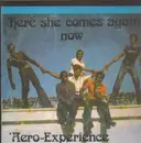 LP - Aero-Experience - same - pokora 7001 original vinyl - duplicated cover
