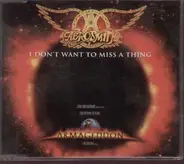 Aerosmith - I Don't Want To Miss A Thing