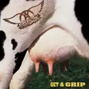 CD - Aerosmith - Get A Grip