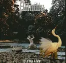 LP - Affinity - If You Live