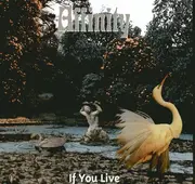 LP - Affinity - If You Live