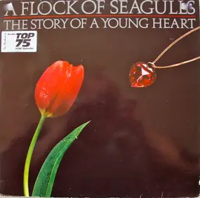 A Flock of Seagulls - The Story of a Young Heart