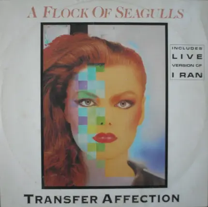 A Flock Of Seagulls - Transfer Affection