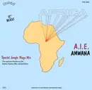 12'' - Africa - A.I.E. (Amwana)