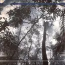 12'' - Afro-Mystik - Future Tropic