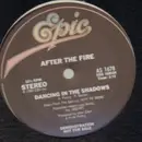 12inch Vinyl Single - After The Fire - One Rule For You