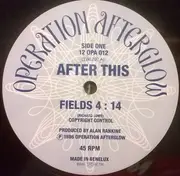 12inch Vinyl Single - After This - Fields / Hollow Hills