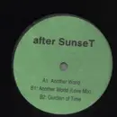 12inch Vinyl Single - After Sunset - Another World