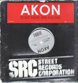 Akon - Right Now (Na Na Na)