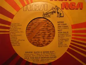 Aka The Max Demian Band - Havin' Such A Good Day