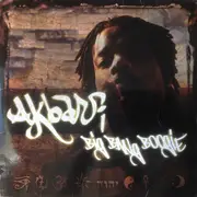 Double LP - Akbar - Big Bang Boogie
