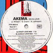 12inch Vinyl Single - Akema - So In Love