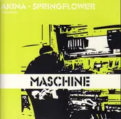 Akina - SPRINGFLOWER