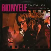 12'' - Akinyele - Take A Lick