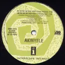12inch Vinyl Single - Akinyele - Ak Ha Ha! Ak Hoo Hoo?