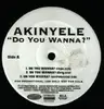 12'' - Akinyele - Do You Wanna?