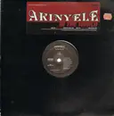 12'' - Akinyele - In The World