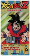 Akira Toriyama / Toei Animation - Dragon Ball Z 37 (Episodio 73 & 74)