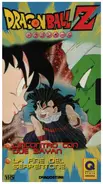 Akira Toriyama / Toei Animation - Dragon Ball Z 9 (Episodio 17 & 18)