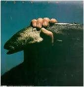 Akira Miyazawa - Four Units