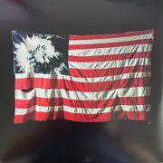 Double LP - Akron/Family - Set 'Em Wild, Set 'Em Free