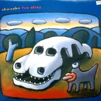 Akwaaba - Too Shiny