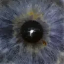 LP - Ahkmed - Distance