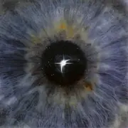 LP - Ahkmed - Distance