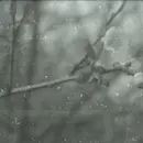 Double LP - Ahu - Nord Dream