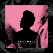 Double LP - Ahzumjot - Nix Mehr Egal