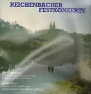 Aiblinger / Fiala - Reichenbacher Festkonzerte