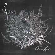 Aiden - ONE LOVE