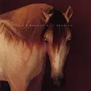 CD - AIR + Alessandro Baricco - City Reading