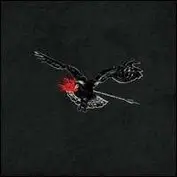 The Airborne Toxic Event