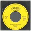 7inch Vinyl Single - Airbus - Fly Away