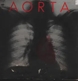 Aorta - Aorta, Same