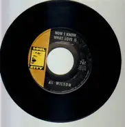 Al Wilson - Do What You Gotta Do