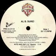 12'' - Al B. Sure! - Nite And Day