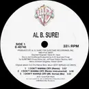 12'' - Al B. Sure! - I Don't Wanna Cry