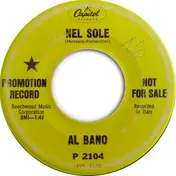 Al Bano Carrisi - Nel Sole / Pensieri "P.33"