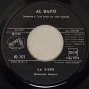 7inch Vinyl Single - Al Bano Carrisi - La Siepe