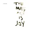 LP - Al DeLoner - The Mess Age Is Joy - Gatefold