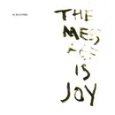 LP - Al DeLoner - The Mess Age Is Joy - Gatefold
