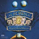 Double LP - Al Di Meola , World Sinfonia - Pursuit Of Radical Rhapsody - 180 Gram