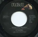 7'' - Alabama - Dixieland Delight