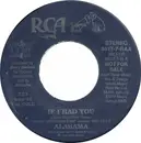 7inch Vinyl Single - Alabama - If I Had You