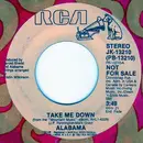 7inch Vinyl Single - Alabama - Take Me Down