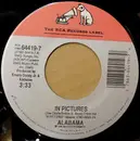 7inch Vinyl Single - Alabama - In Pictures